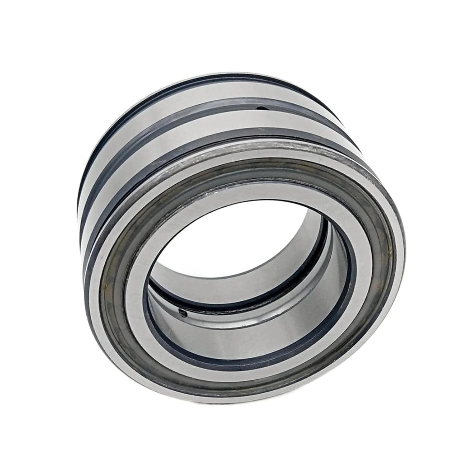 sl04-5004-pp-sealed-full-complement-cylindrical-roller-bearings-20 mm-x-42 mm-x-30 mm.jpg